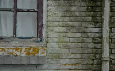 Façade humide : traitement, prix et conseils